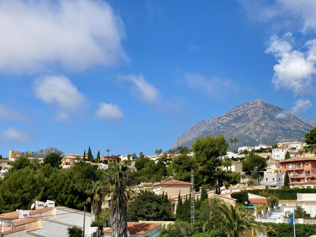 Detached Villa La Campaneta Alicante - image 50