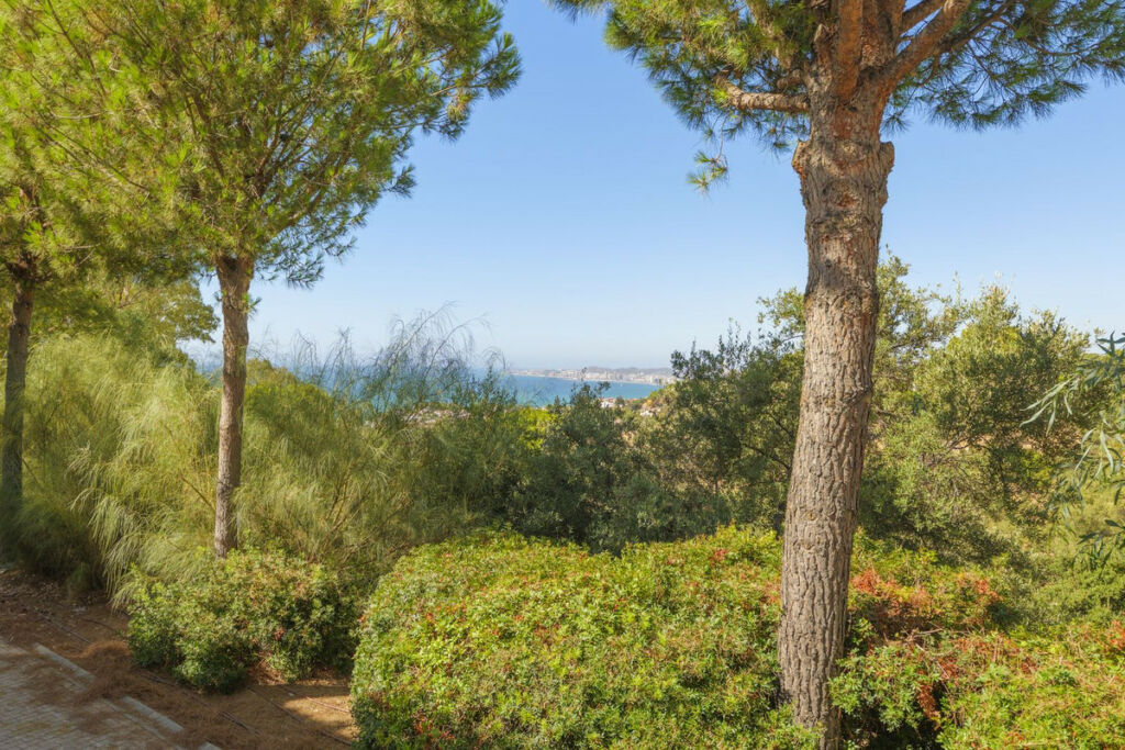 Semi-Detached House Benalmadena Málaga - image 50