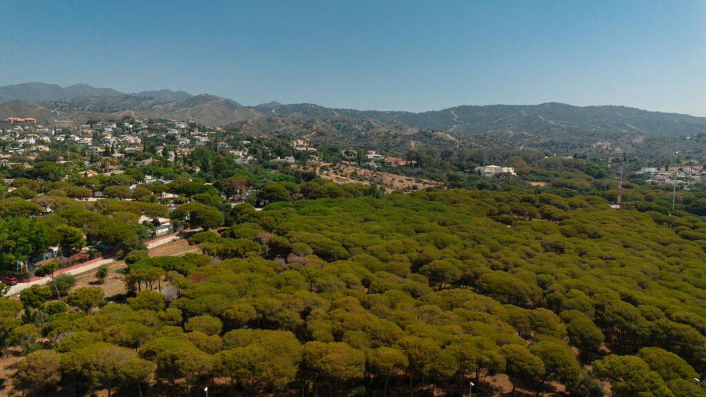 Detached Villa Costabella Málaga - image 51