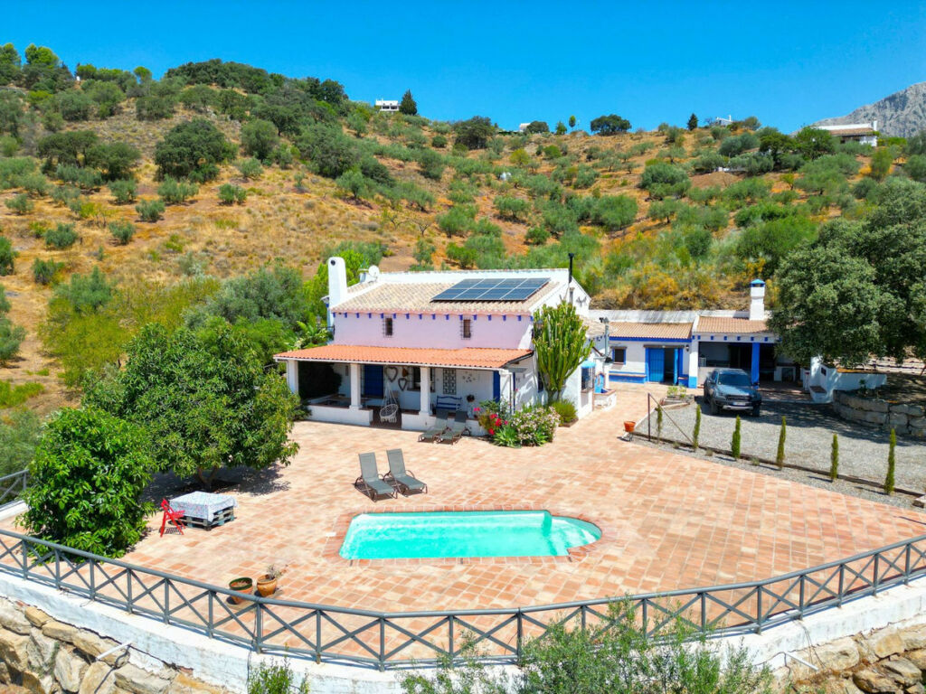 Detached Villa Riogordo Málaga - image 54
