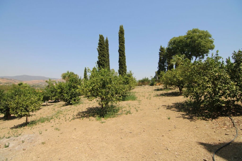 Detached Villa Pizarra Málaga - image 55