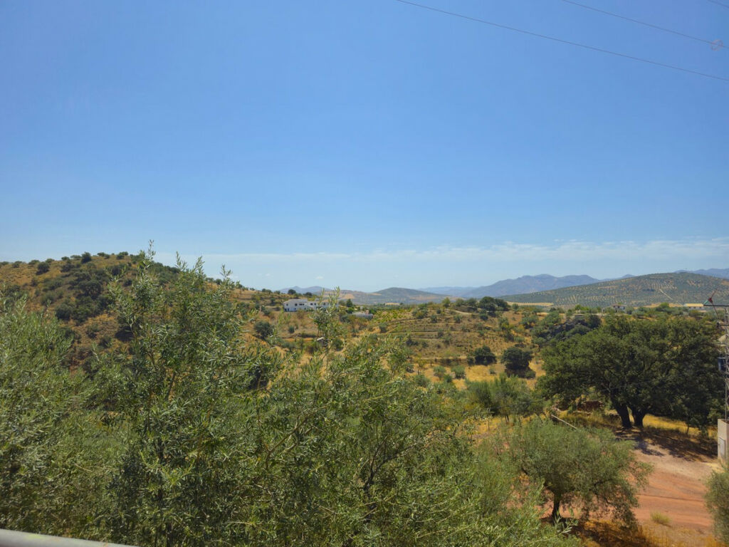 Detached Villa Riogordo Málaga - image 56