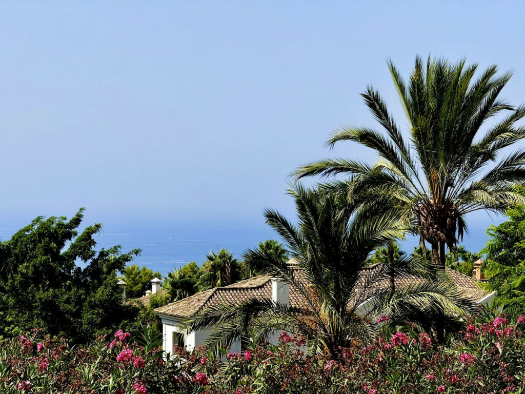 Detached Villa Sierra Blanca Málaga - image 6