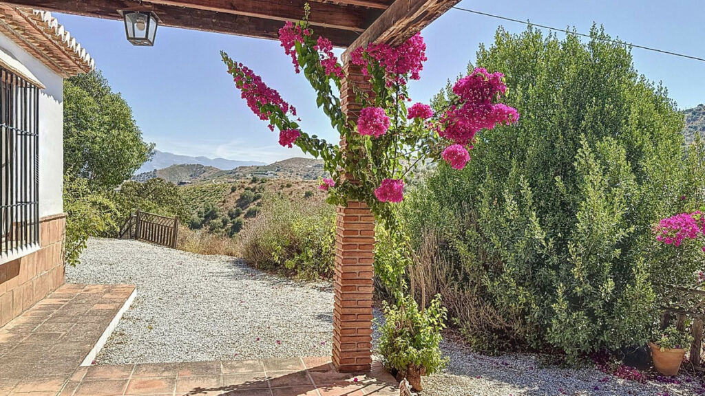 Finca - Cortijo Almachar Málaga - image 6