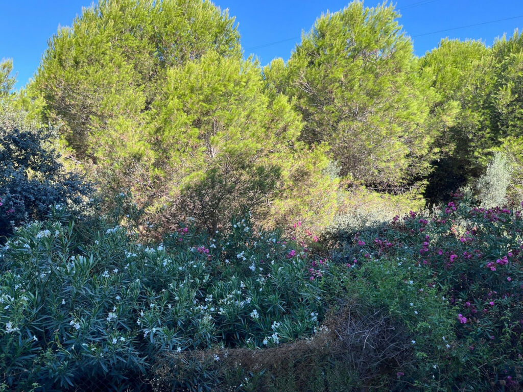 Ground Floor Apartment Riviera del Sol Málaga - image 6