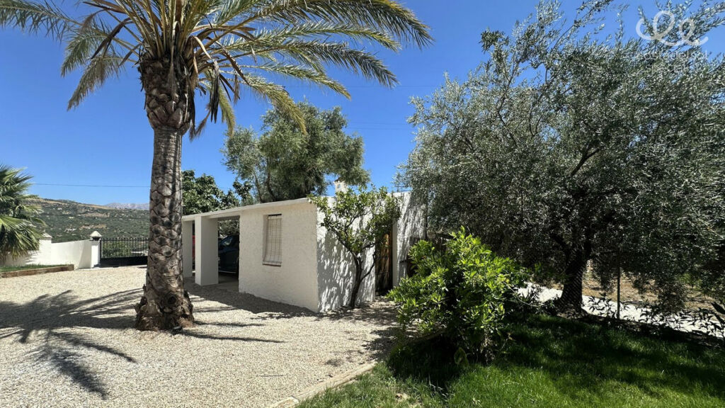 Finca - Cortijo Periana Málaga - image 6