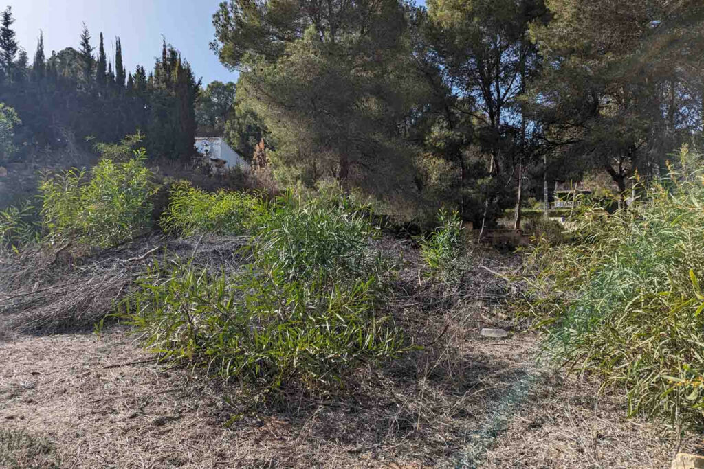 Land Moraira Alicante - image 7