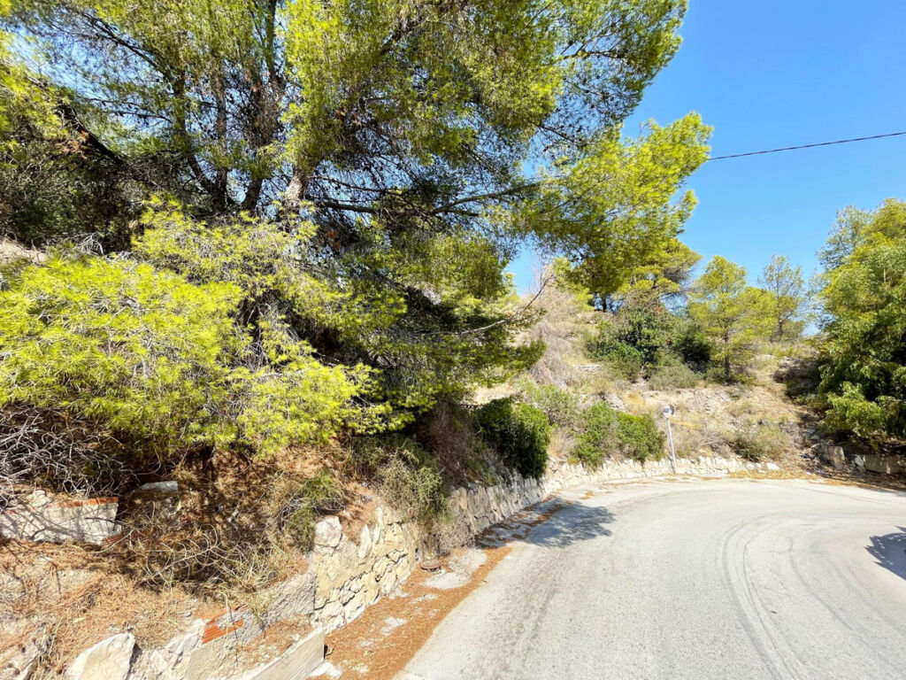 Residential Plot Calpe Alicante - image 7