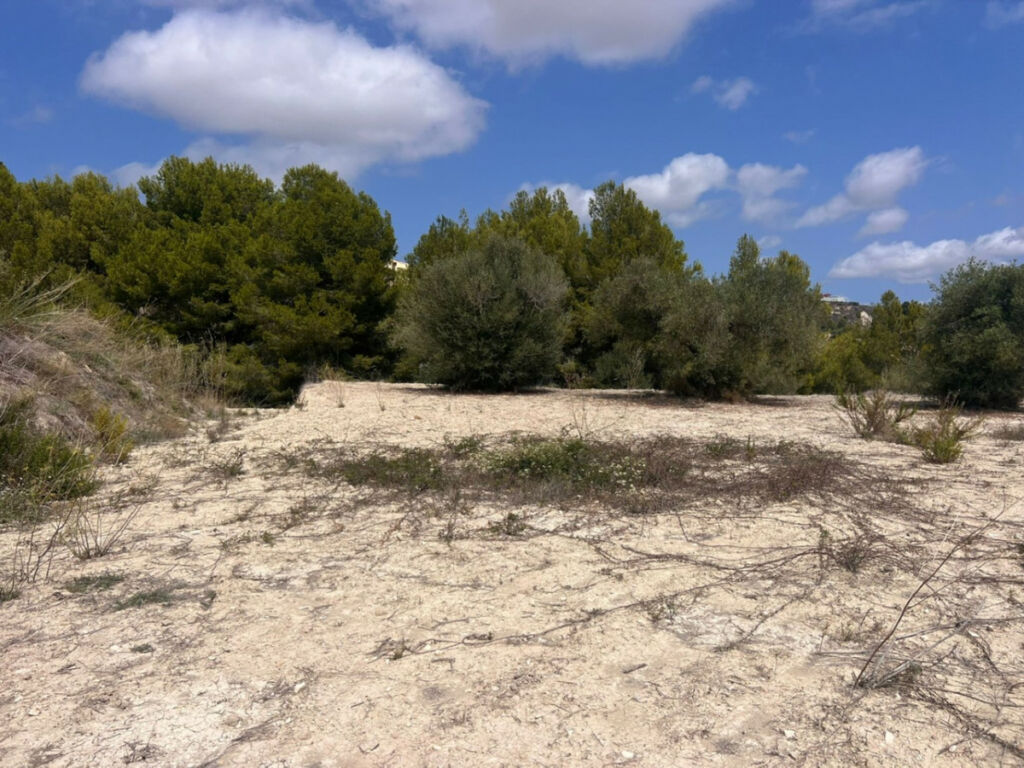 Land Benissa Alicante - image 7