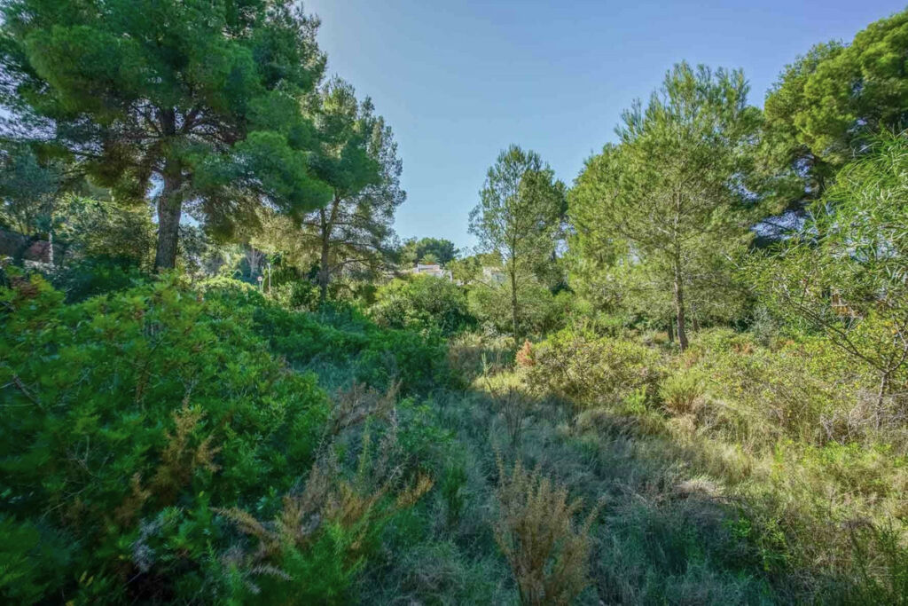 Residential Plot Javea Alicante - image 7