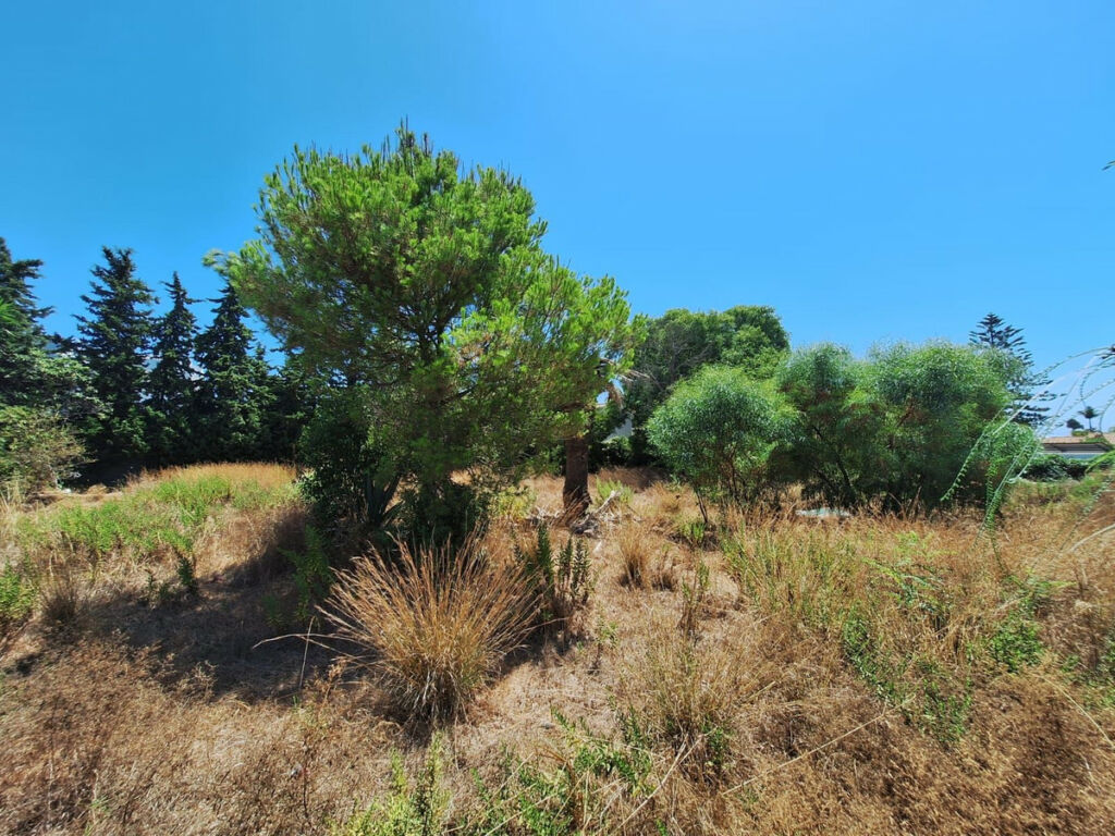 Residential Plot Estepona Málaga - image 7