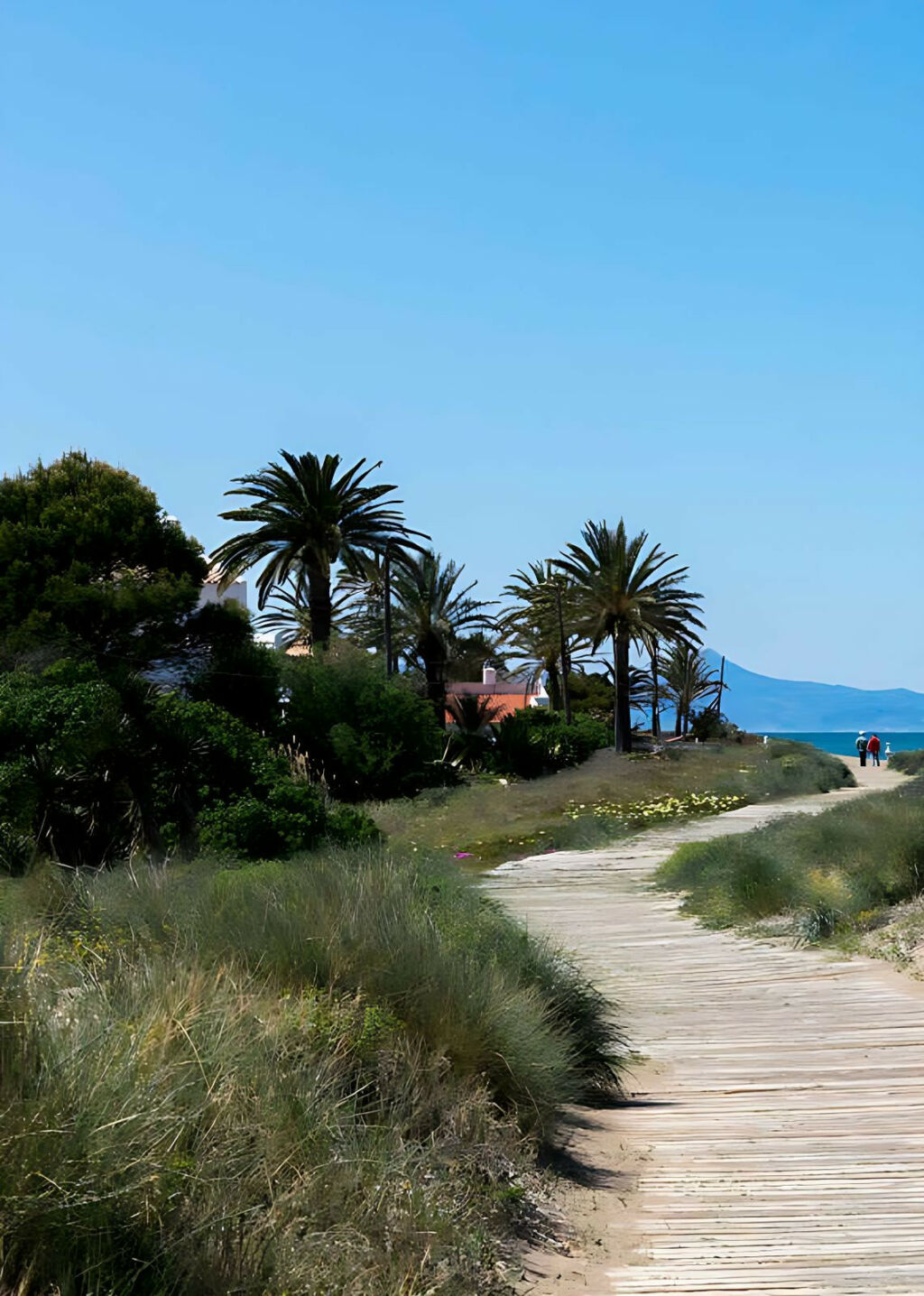 Detached Villa El Verger Alicante - image 7