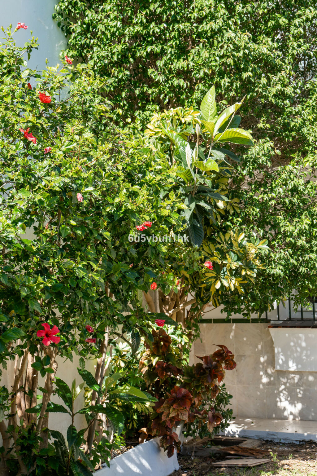 Ground Floor Apartment Fuengirola Málaga - image 9