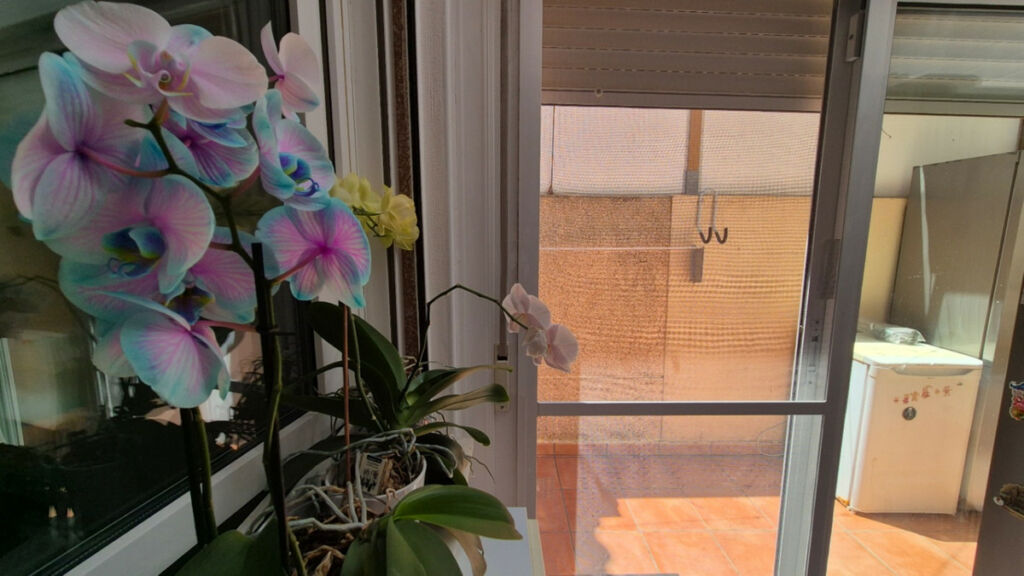 Townhouse Torrevieja Alicante - image 8