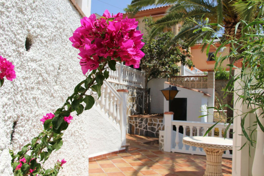 Detached Villa Coín Málaga - image 8