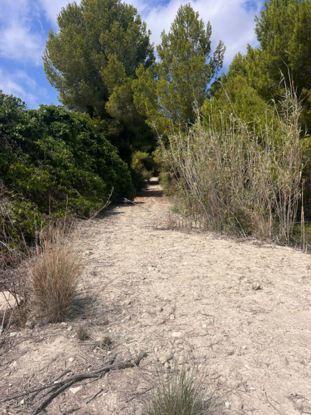 Land Benissa Alicante - image 8