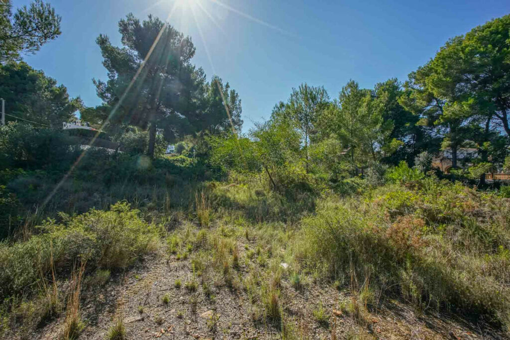 Residential Plot Javea Alicante - image 8