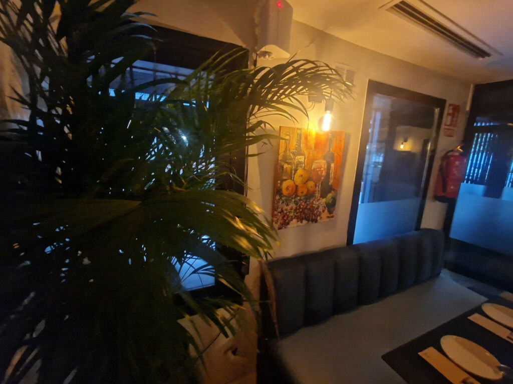 Restaurant San Pedro de Alcántara Málaga - image 8