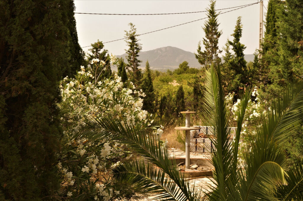 Finca - Cortijo Salinas Alicante - image 8