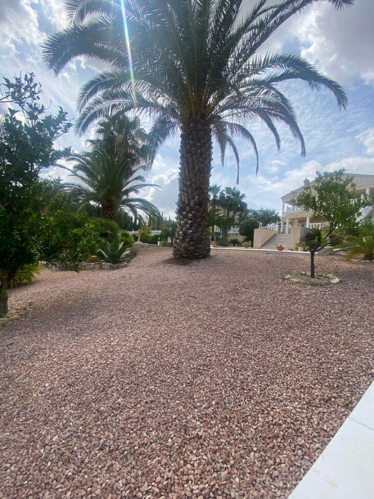 Detached Villa Algorfa Alicante - image 9