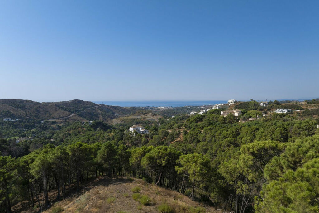 Residential Plot Benahavís Málaga - image 3
