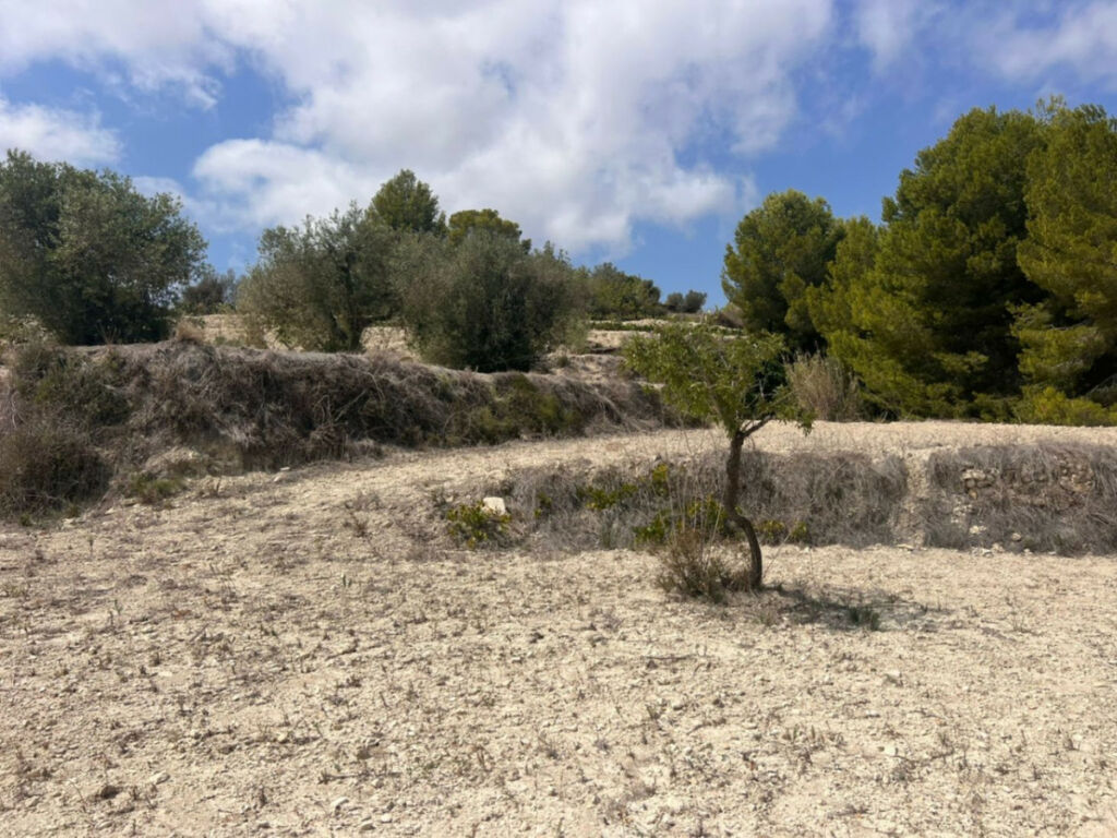 Land Benissa Alicante - image 9