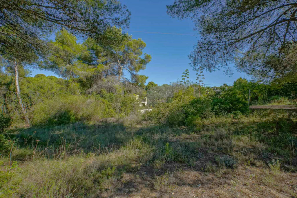 Residential Plot Javea Alicante - image 9