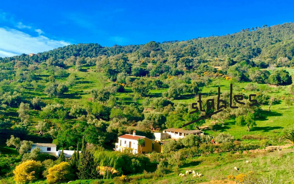Finca - Cortijo Gaucín Málaga