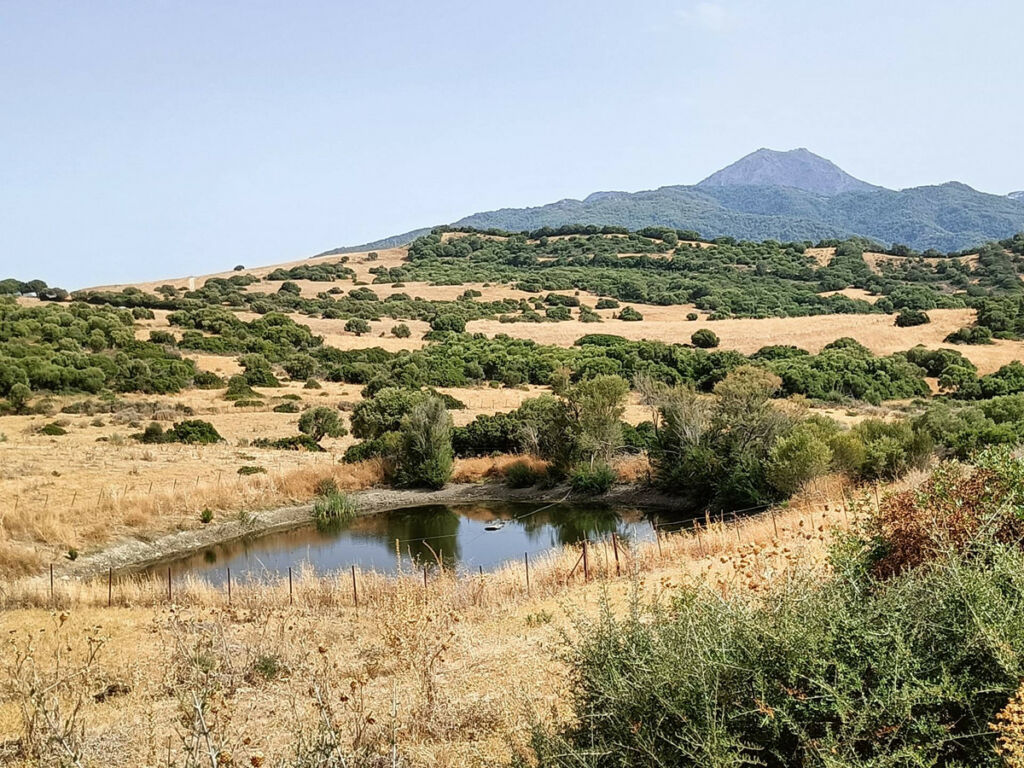 Farm Gaucín Málaga - image 7