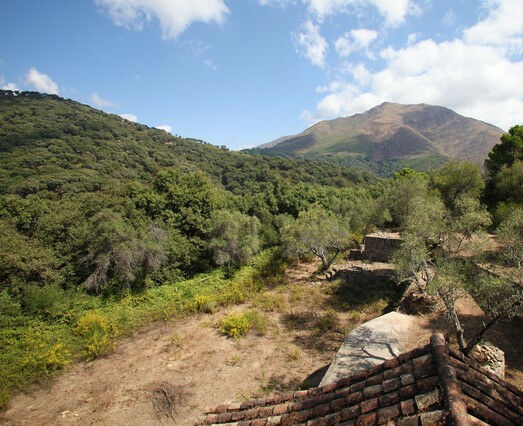 Finca - Cortijo Casares Málaga