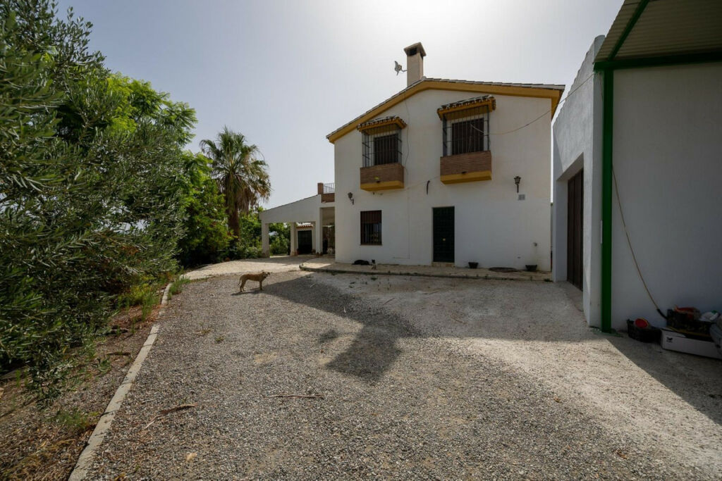 Detached Villa Cártama Málaga - image 12