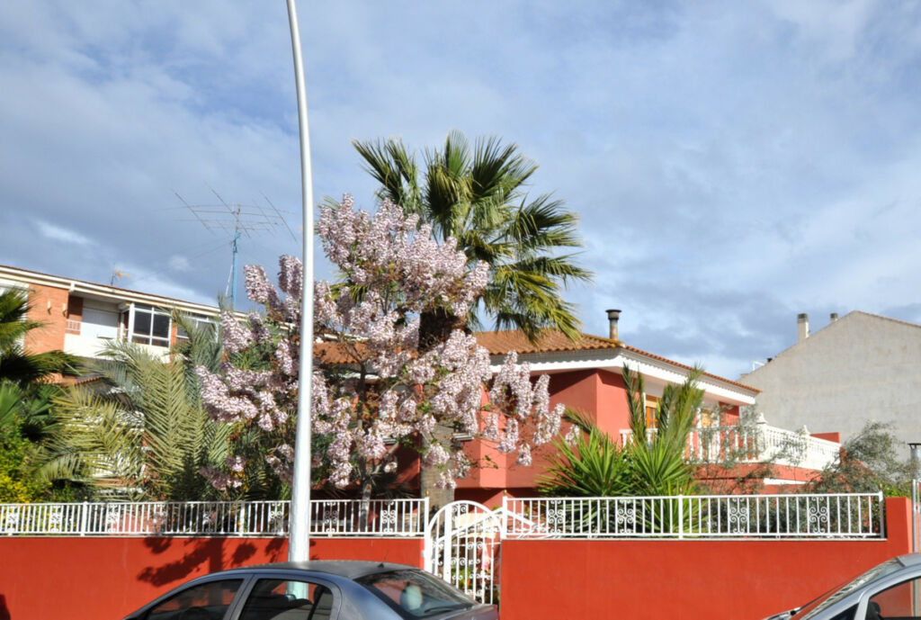 Detached Villa Sax Alicante