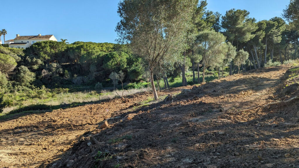 Residential Plot Sotogrande Cádiz