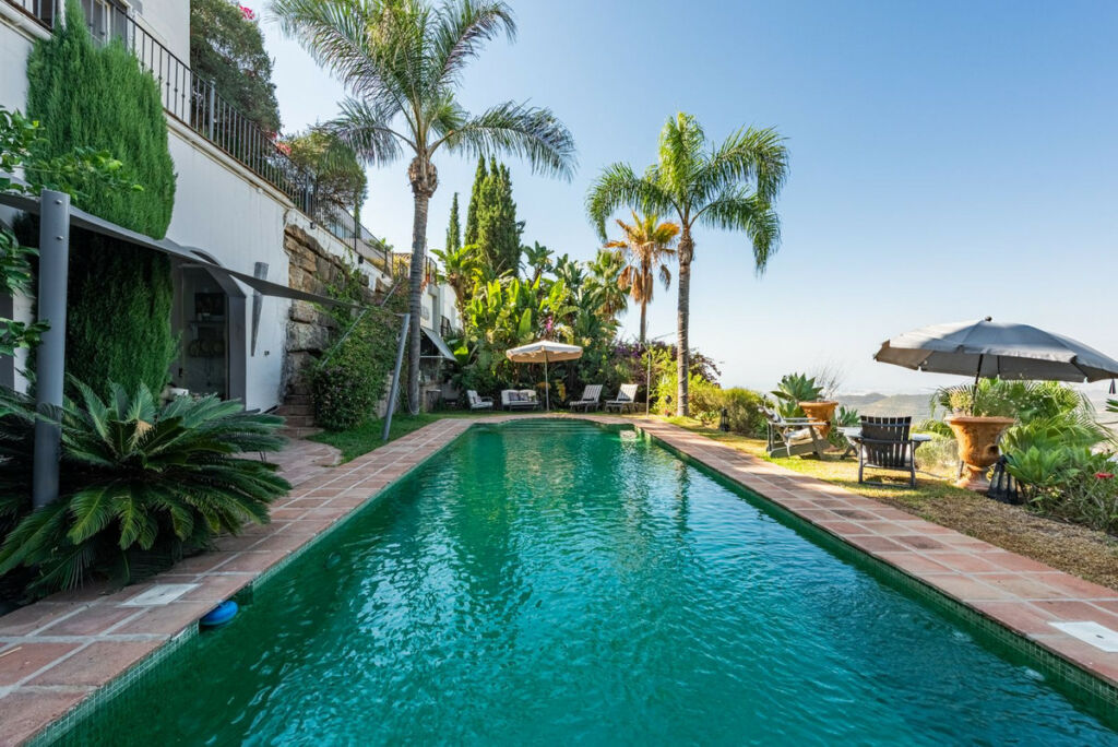 Detached Villa Istán Málaga - image 27