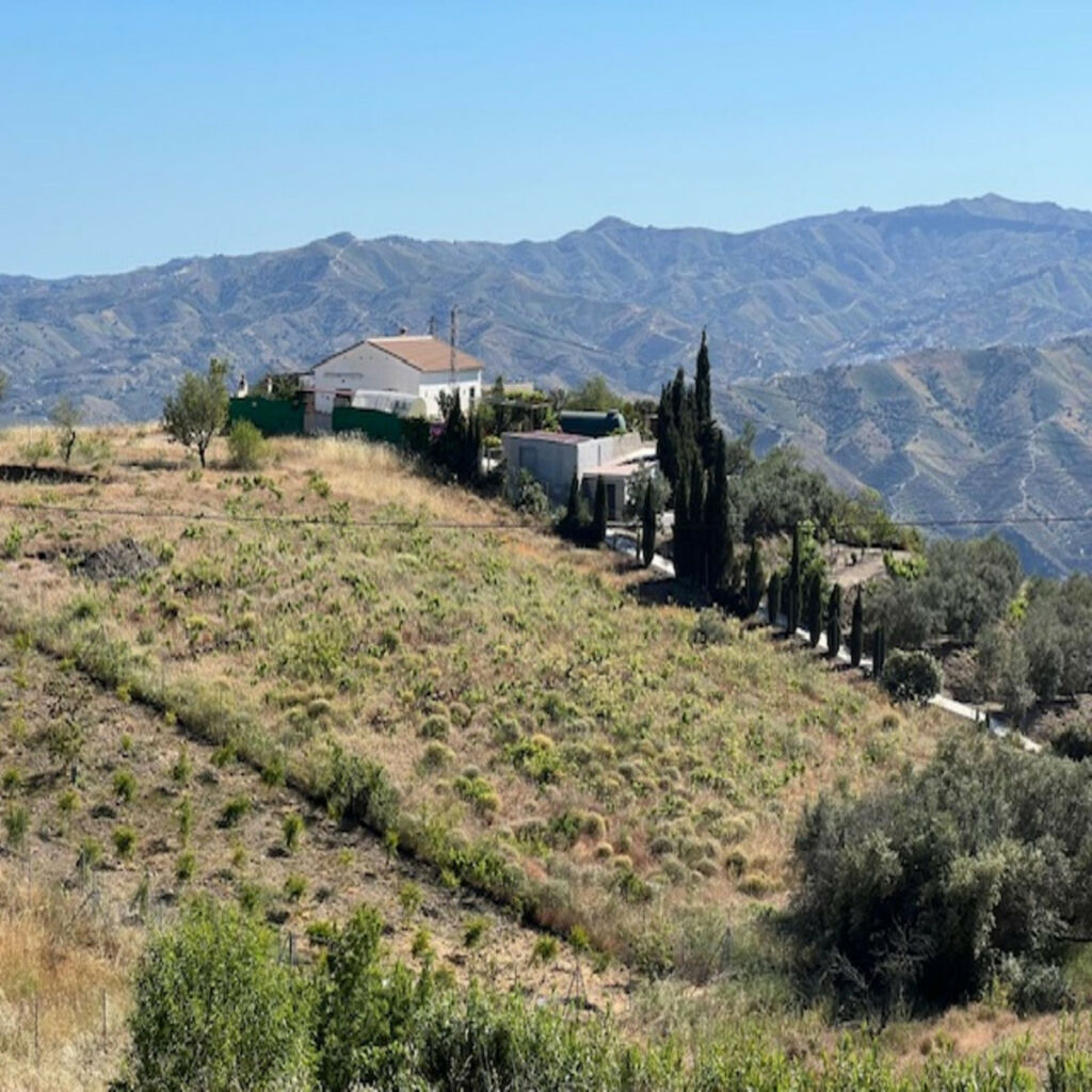 Finca - Cortijo Viñuela Málaga