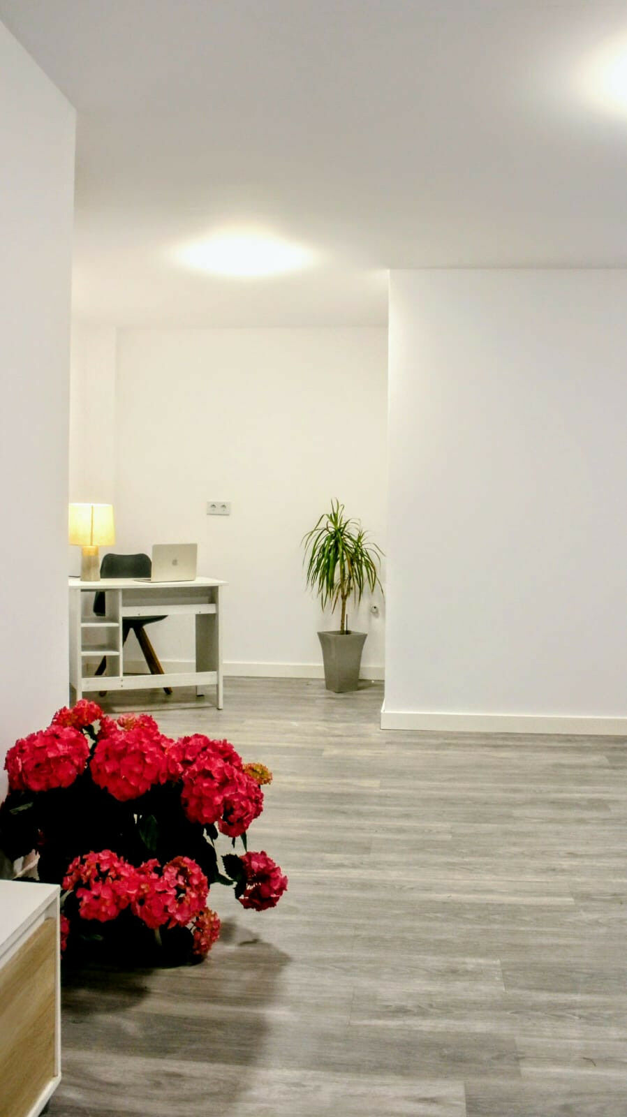 Detached Villa Benahavís Málaga - image 10