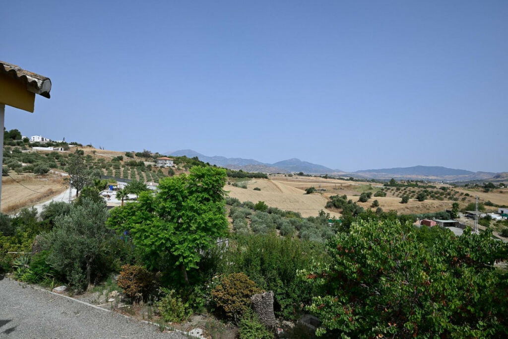 Detached Villa Cártama Málaga - image 14