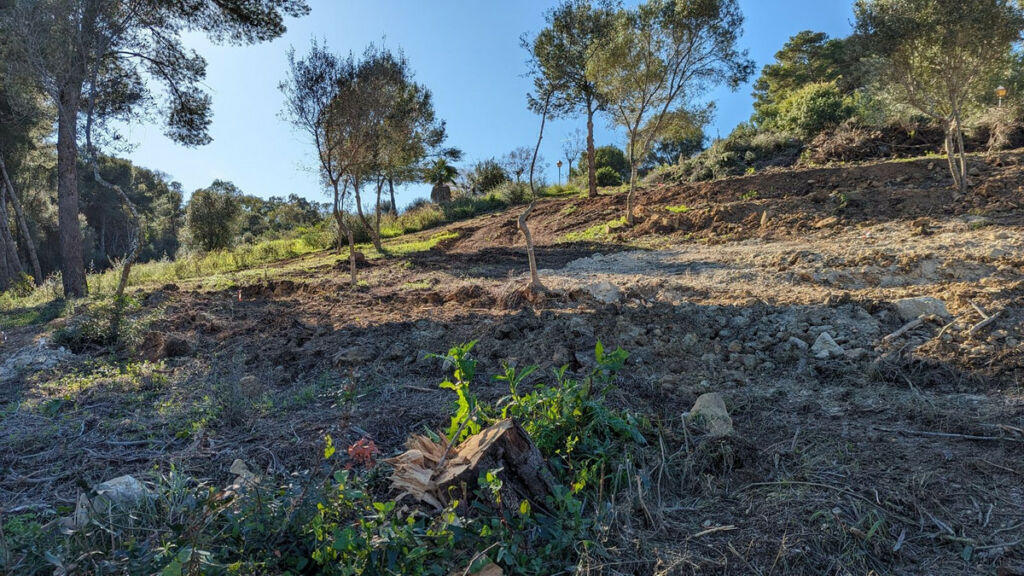 Residential Plot Sotogrande Cádiz - image 10