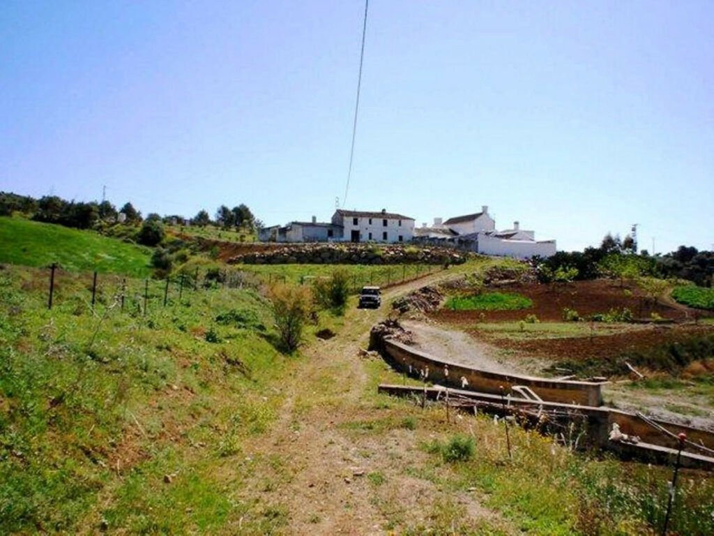 Farm Coín Málaga - image 10