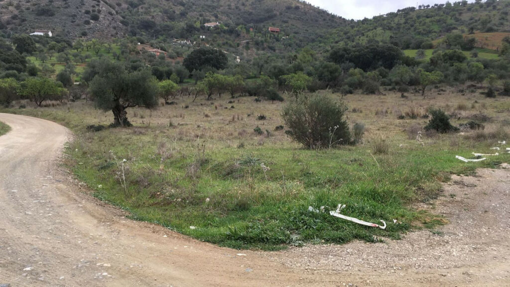 Land Coín Málaga - image 10