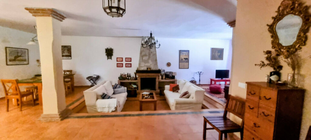 Detached Villa Cortes de la Frontera Málaga - image 11