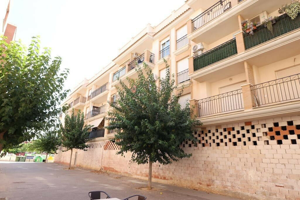 Ground Floor Apartment Pilar de la Horadada Alicante - image 11
