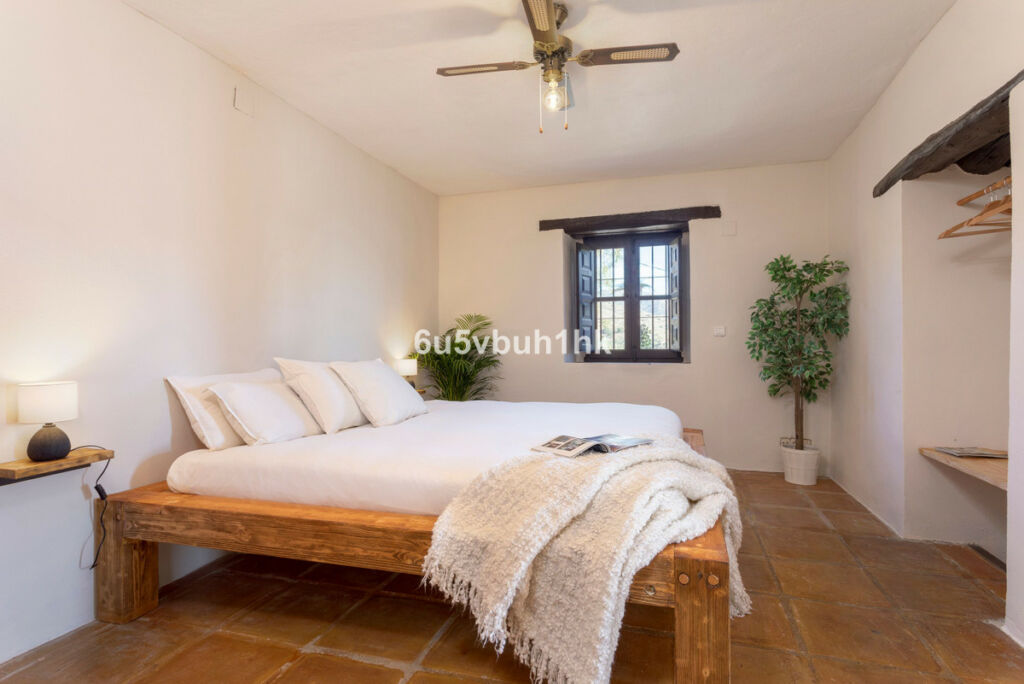 Finca - Cortijo Málaga Málaga - image 10