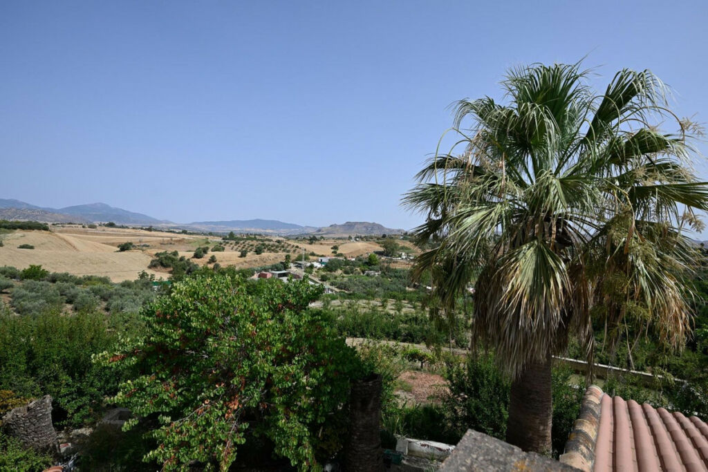 Detached Villa Cártama Málaga - image 15