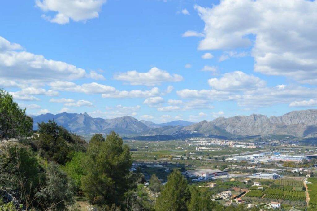 Land Pedreguer Alicante - image 11