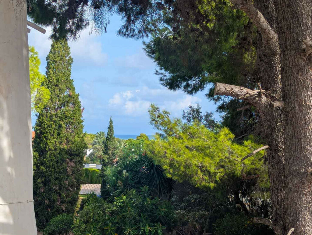 Detached Villa Denia Alicante - image 11