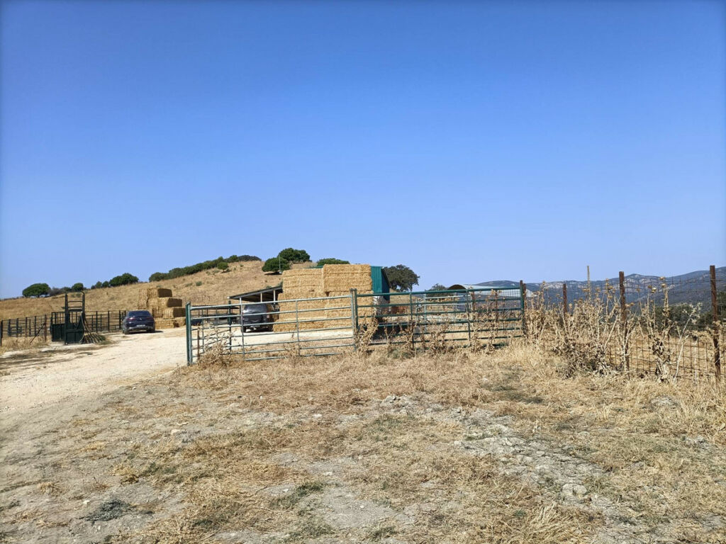Farm Gaucín Málaga - image 5