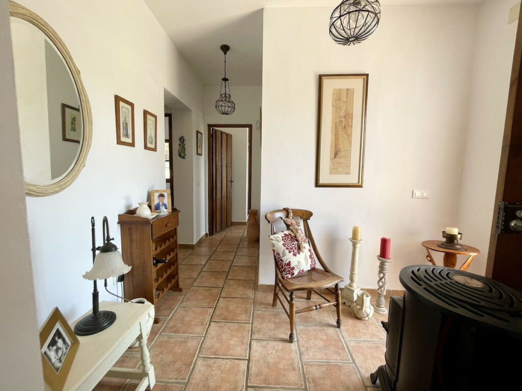 Detached Villa Periana Málaga - image 11