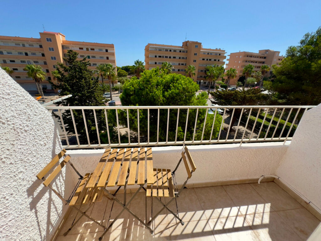 Ground Floor Apartment Guardamar del Segura Alicante - image 11