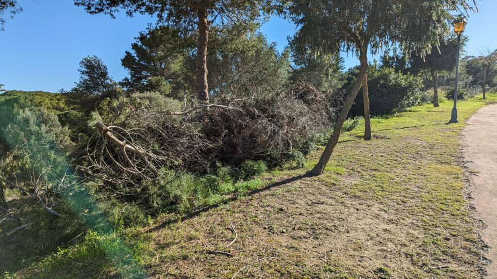 Residential Plot Sotogrande Cádiz - image 11